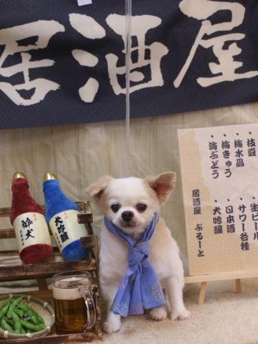 20240614風太くん